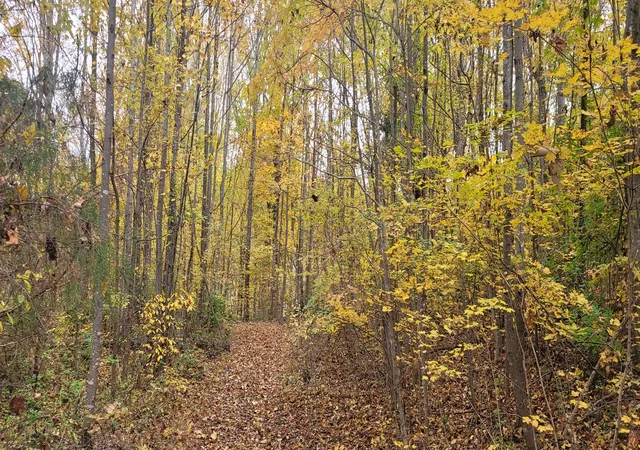 Photo 3 of Land for sale at 1 Sugar Ridge Rd, Spring Hill, TN 37174 | MLS# 2942374 | Listing updated on 2026-07-17