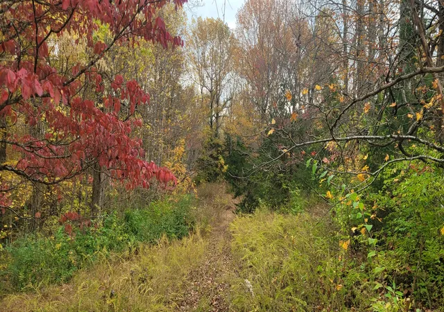 Photo 3 of Land for sale at 1 Sugar Ridge Rd, Spring Hill, TN 37174 | MLS# 2942374 | Listing updated on 2026-07-17