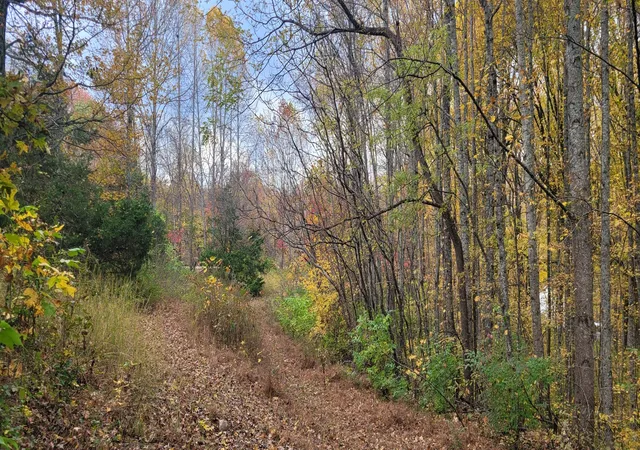 Photo 2 of Land for sale at 1 Sugar Ridge Rd, Spring Hill, TN 37174 | MLS# 2942374 | Listing updated on 2026-07-17