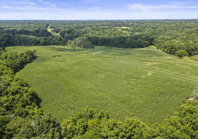 3rd image of 2688 Lights Chapel Rd, Greenbrier, TN 37073 | MLS# 2942581