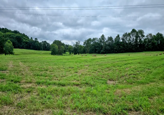 28th image of 0 Aymett Rd, Pulaski, TN 38478 | MLS# 2942675
