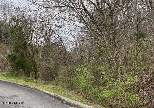 Photo 4 of Sale Pending at 0 Wingspan Dr, Sevierville, TN 37876 | MLS# 3270235 | Listing updated on 2026-07-14