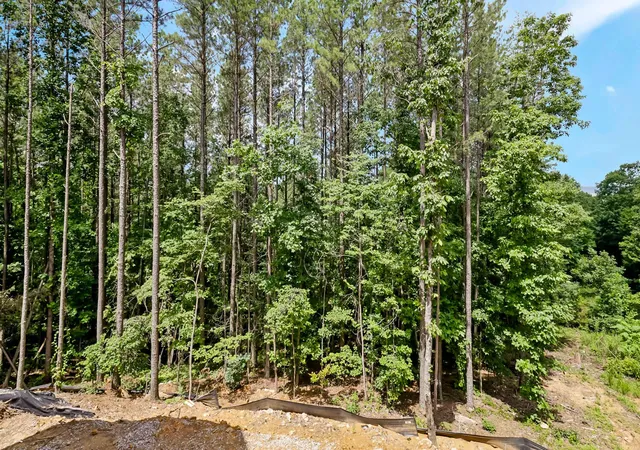 Homes for sale in Guild, TN | 4545 Split Rail Way #Lot 1142, Guild, TN 37340 | MLS# 2944029