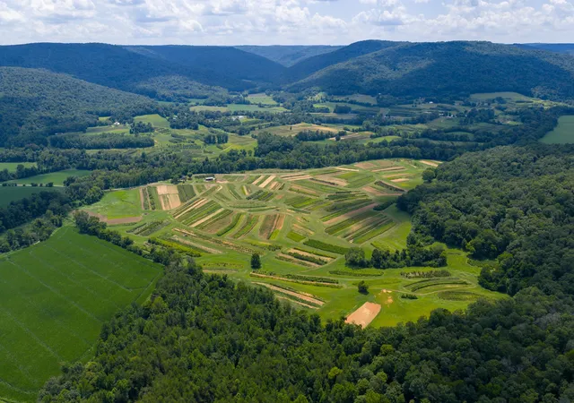 3rd image of 576 Standifer Rd, Mc Minnville, TN 37110 | MLS# 2944469