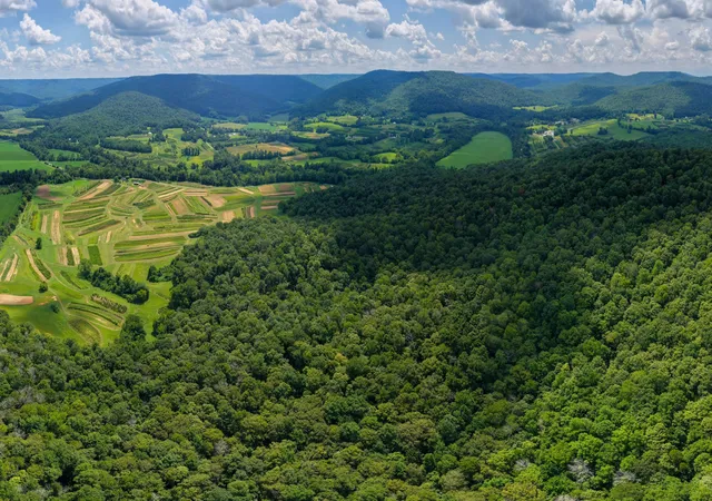 5th image of 576 Standifer Rd, Mc Minnville, TN 37110 | MLS# 2944469