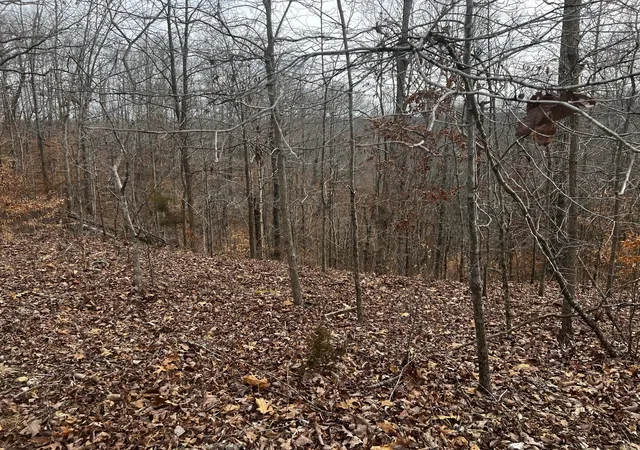 Homes for sale in Dover, TN | 610 Bumpus Mills Rd, Dover, TN 37058 | MLS# 2944827