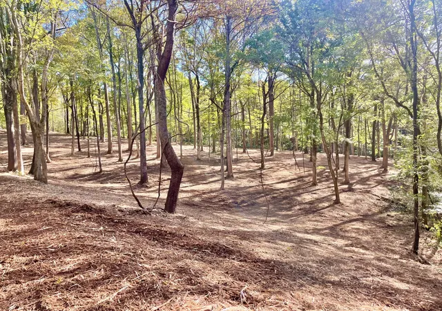 2nd image of 0 Harper, Clarksville, TN 37043 | MLS# 2945401