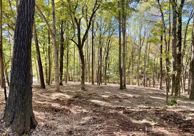 5th image of 0 Harper, Clarksville, TN 37043 | MLS# 2945401