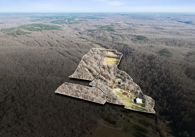2nd image of 1208 Little Spring Creek Rd, Linden, TN 37096 | MLS# 2945989