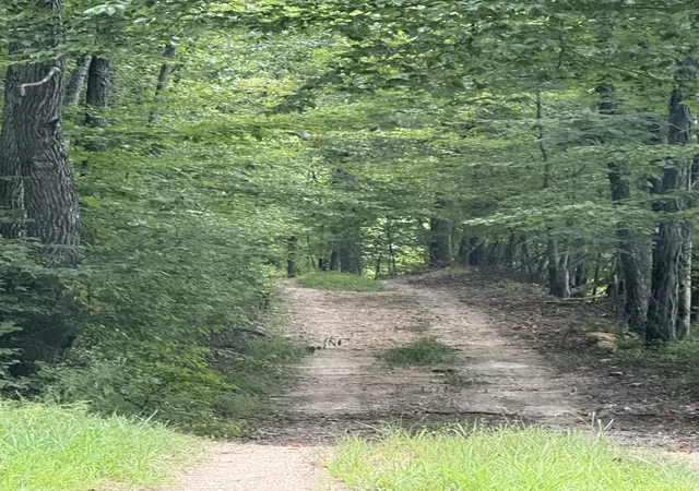 77th image of 1208 Little Spring Creek Rd, Linden, TN 37096 | MLS# 2945989