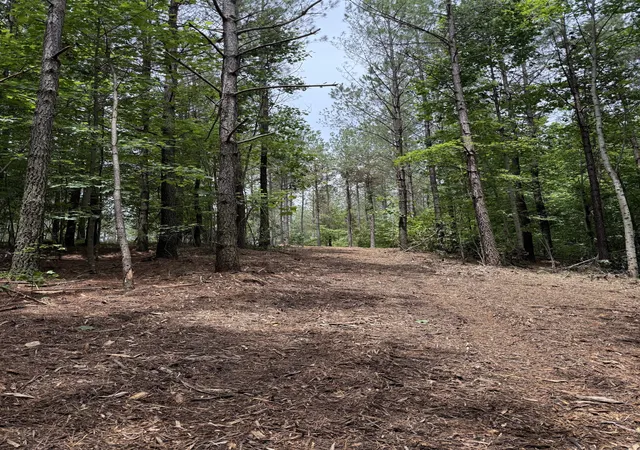 Photo 3 of Land for sale at 0 Spokelay Rd, Spencer, TN 38585 | MLS# 2946642 | Listing updated on 2026-10-05