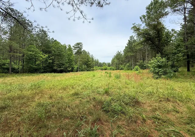 Land for sale at 0 Spokelay Rd, Spencer, TN 38585 | MLS# 2946642