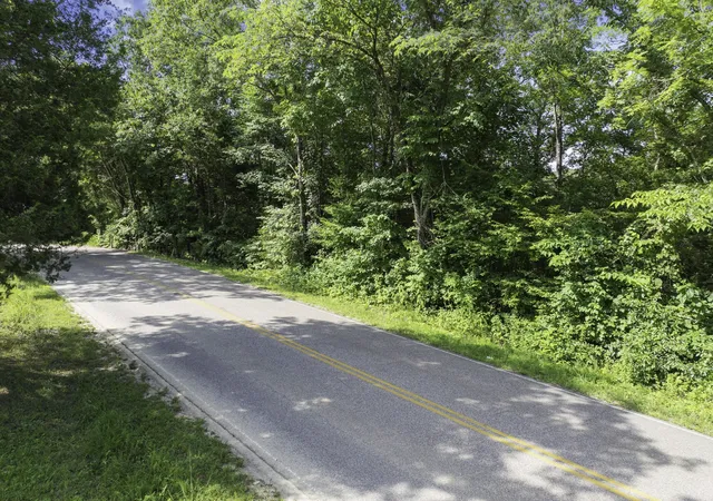 Photo 2 of Sale Pending at 0 Highway 100 E, Decaturville, TN 38329 | MLS# 2946938 | Listing updated on 2026-09-14