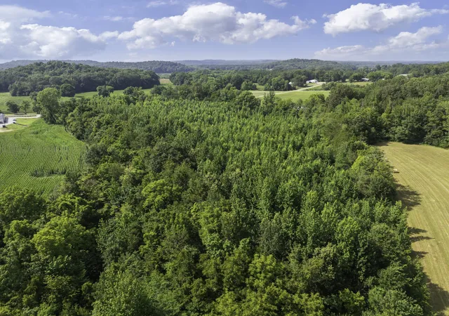 Photo 3 of Sale Pending at 0 Highway 100 E, Decaturville, TN 38329 | MLS# 2946938 | Listing updated on 2026-09-14