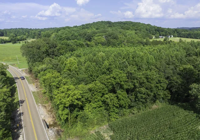 Photo 3 of Sale Pending at 0 Highway 100 E, Decaturville, TN 38329 | MLS# 2946938 | Listing updated on 2026-09-14