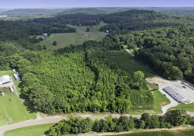 Photo 4 of Sale Pending at 0 Highway 100 E, Decaturville, TN 38329 | MLS# 2946938 | Listing updated on 2026-09-14