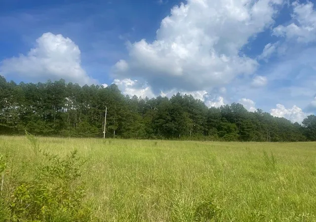 Photo 2 of Land for sale at 0 Tennessee Ridge Road, Waverly, TN 37185 | MLS# 2958668 | Listing updated on 2026-08-19