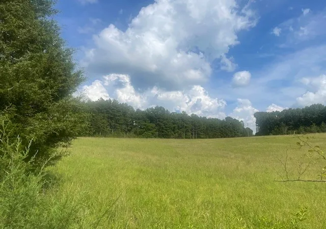 Photo 3 of Land for sale at 0 Tennessee Ridge Road, Waverly, TN 37185 | MLS# 2958668 | Listing updated on 2026-08-19