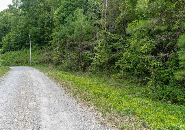 Homes for sale in Wilder, TN | 0 E Obey Ln, Wilder, TN 38589 | MLS# 2946663