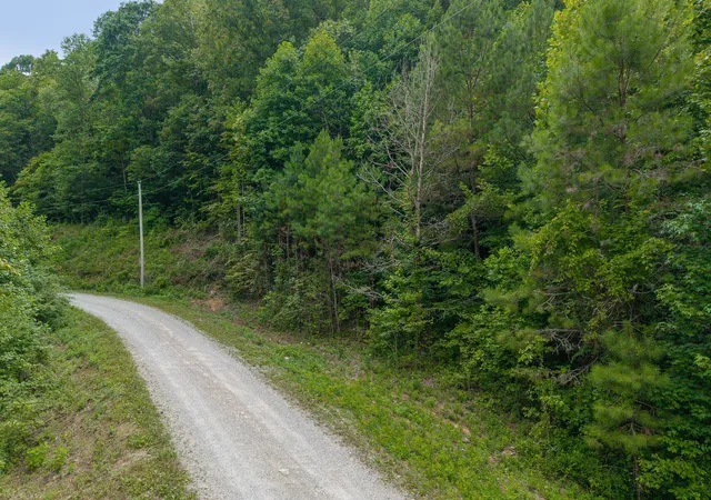 Homes for sale in Wilder, TN | 0 E Obey Ln, Wilder, TN 38589 | MLS# 2946663