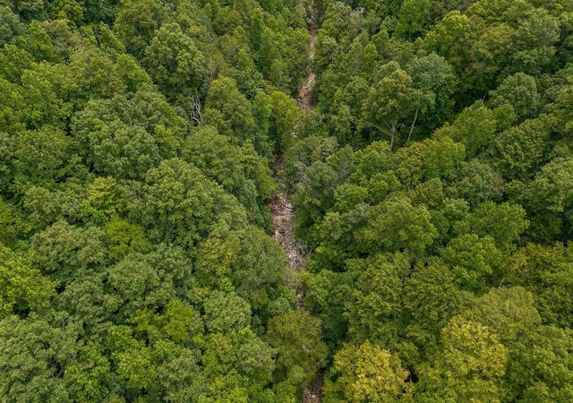 Homes for sale in Wilder, TN | 0 Bobcat Ln Lot 54 W, Wilder, TN 38589 | MLS# 2946731