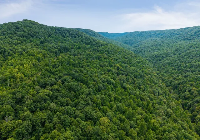 Homes for sale in Wilder, TN | 0 Bobcat Ln Lot 54 W, Wilder, TN 38589 | MLS# 2946731
