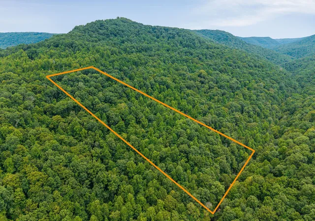 Homes for sale in Wilder, TN | 0 Bobcat Ln Lot 54 W, Wilder, TN 38589 | MLS# 2946731