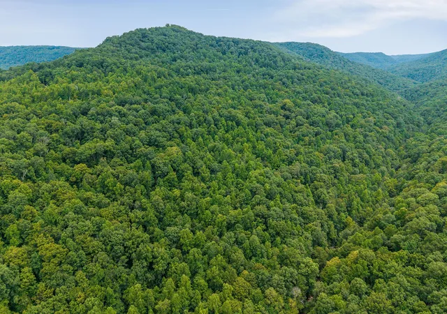Homes for sale in Wilder, TN | 0 Bobcat Ln Lot 54 W, Wilder, TN 38589 | MLS# 2946731