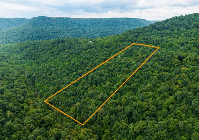 Homes for sale in Wilder, TN | 0 Bobcat Ln Lot 54 W, Wilder, TN 38589 | MLS# 2946731