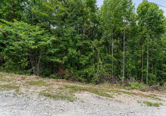 Homes for sale in Wilder, TN | 0 Bobcat Ln Lot 54 W, Wilder, TN 38589 | MLS# 2946731