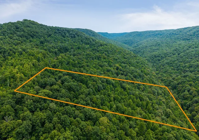 Homes for sale in Wilder, TN | 0 Bobcat Ln Lot 55 W, Wilder, TN 38589 | MLS# 2946741