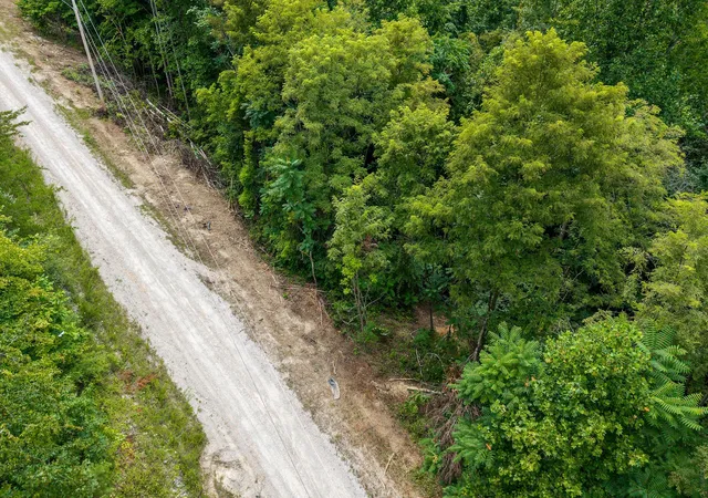 Homes for sale in Wilder, TN | 0 Bobcat Ln Lot 55 W, Wilder, TN 38589 | MLS# 2946741