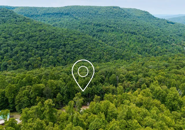 Homes for sale in Wilder, TN | 0 Bobcat Ln Lot 55 W, Wilder, TN 38589 | MLS# 2946741