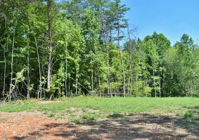 2nd image of 521 Norton Road, Philadelphia, TN 37846 | MLS# 3229690