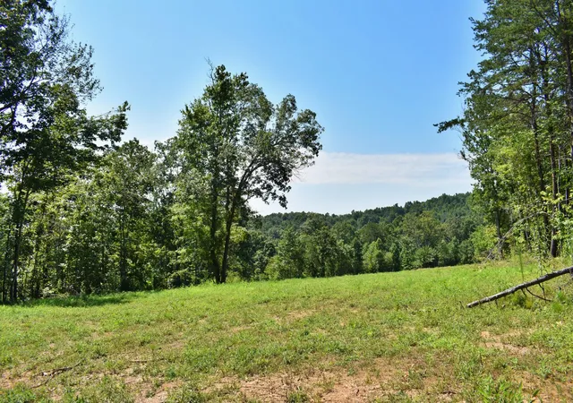 Photo 4 of Land for sale at 521 Norton Road, Philadelphia, TN 37846 | MLS# 3229690 | Listing updated on 2026-09-03