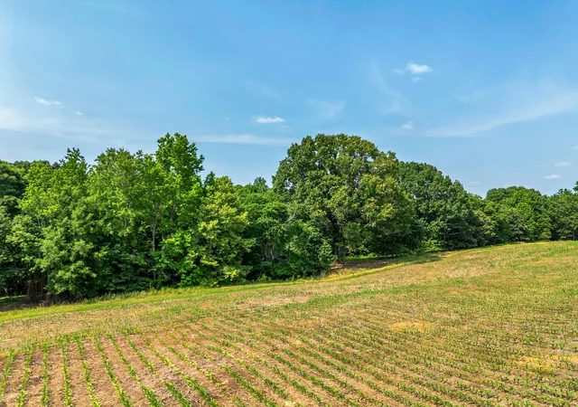 19th image of 1 Hurricane Creek Rd, Lawrenceburg, TN 38464 | MLS# 2958572