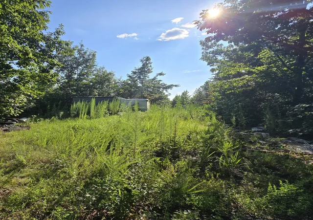 3rd image of 0 Buckfork Road, Linden, TN 37096 | MLS# 2962920