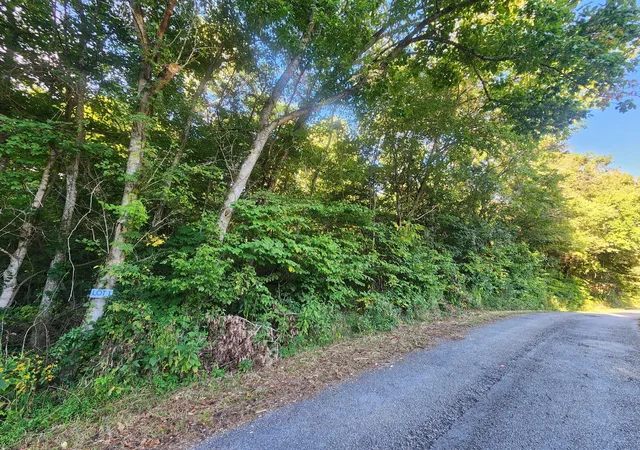 Homes for sale in Lawrenceburg, TN | 0 Blowing Springs, Lawrenceburg, TN 38464 | MLS# 2976121