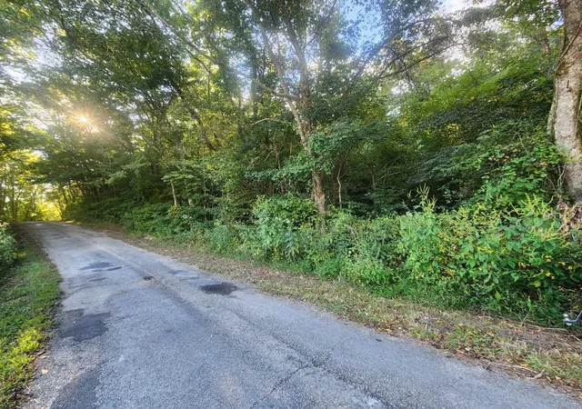 Homes for sale in Lawrenceburg, TN | 0 Blowing Springs, Lawrenceburg, TN 38464 | MLS# 2976121