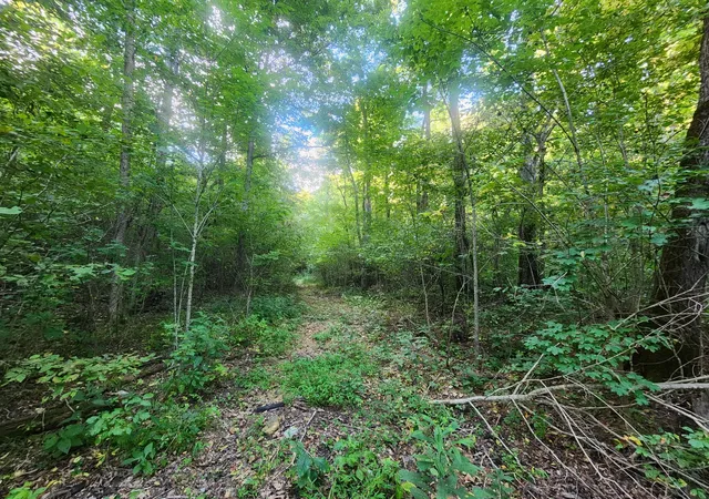 Homes for sale in Lawrenceburg, TN | 0 Blowing Springs, Lawrenceburg, TN 38464 | MLS# 2976121