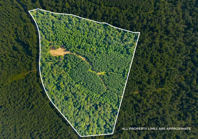 Photo 2 of Land for sale at 2741 Highway 232, Stewart, TN 37175 | MLS# 2963271 | Listing updated on 2025-10-20