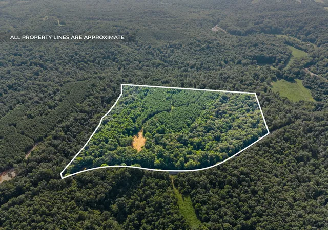 Photo 1 of Land for sale at 2741 Highway 232, Stewart, TN 37175 | MLS# 2963271 | Listing updated on 2025-10-20