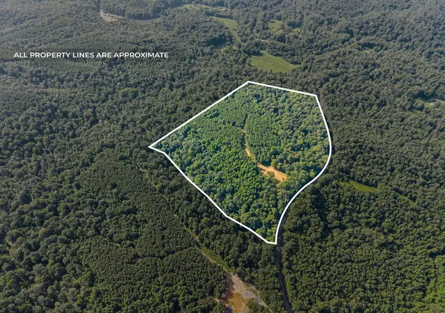 Photo 2 of Land for sale at 2741 Highway 232, Stewart, TN 37175 | MLS# 2963271 | Listing updated on 2025-10-20