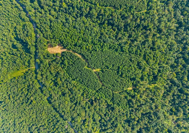 Photo 3 of Land for sale at 2741 Highway 232, Stewart, TN 37175 | MLS# 2963271 | Listing updated on 2025-10-20