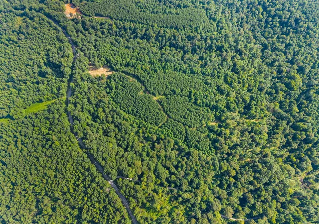 Photo 4 of Land for sale at 2741 Highway 232, Stewart, TN 37175 | MLS# 2963271 | Listing updated on 2025-10-20
