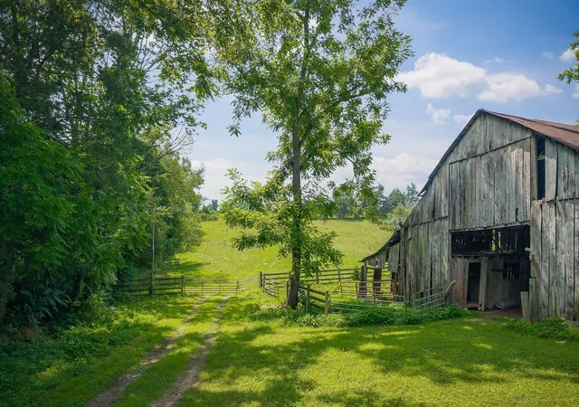 4th image of 3908 Lost Creek Rd, Sparta, TN 38583 | MLS# 2963784