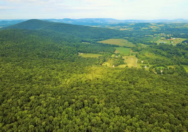Photo 2 of Land for sale at 80 Kroff Road, Gurley, AL 35748 | MLS# 2963999 | Listing updated on 2025-12-29