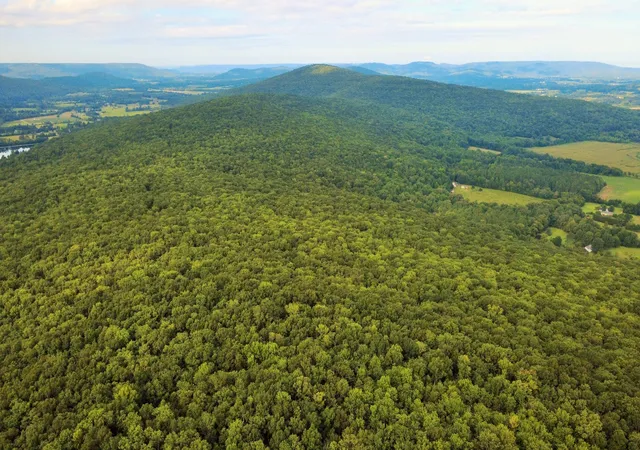 Photo 1 of Land for sale at 80 Kroff Road, Gurley, AL 35748 | MLS# 2963999 | Listing updated on 2025-12-29