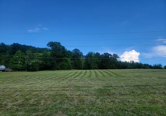 Photo 1 of Land for sale at 33 Hinch St, Spring City, TN 37381 | MLS# 3304360 | Listing updated on 2026-08-13