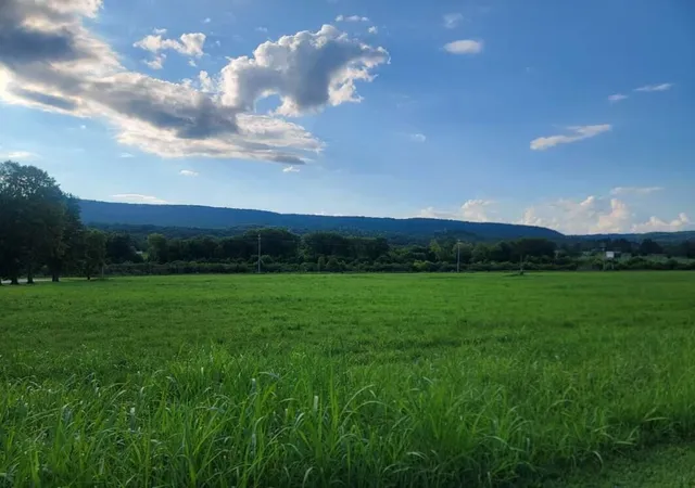 Photo 3 of Land for sale at 33 Hinch St, Spring City, TN 37381 | MLS# 3304360 | Listing updated on 2026-08-13
